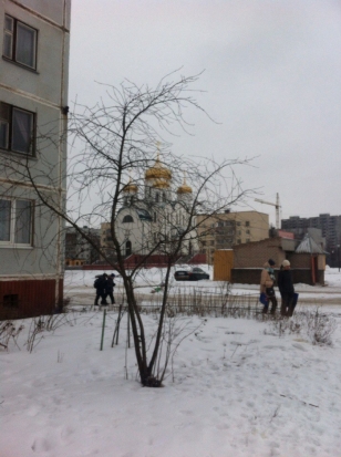 Завтра днем в Великих Луках ожидается до +1°С - 2017-02-23 20:21:00 - 1