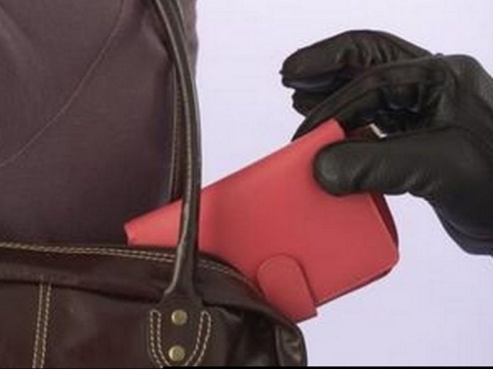 В Великих Луках обокрали дом, пока хозяева ходили по магазинам - 2016-11-23 10:32:00 - 1