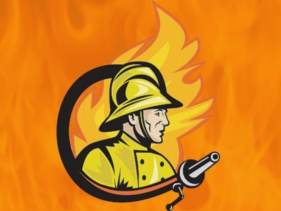 За ночь в Великих Луках подожгли два автомобиля - 2017-01-13 09:10:00 - 1