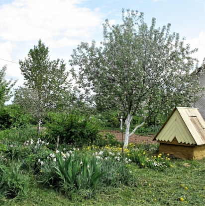 До +25°С обещают синоптики завтра днем в Великих Луках - 2018-05-12 22:02:00 - 1