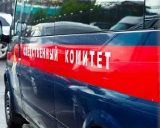 Псковский СК проводит проверку по сообщению средств массовой информации о смерти роженицы - 2017-06-26 15:09:00 - 1