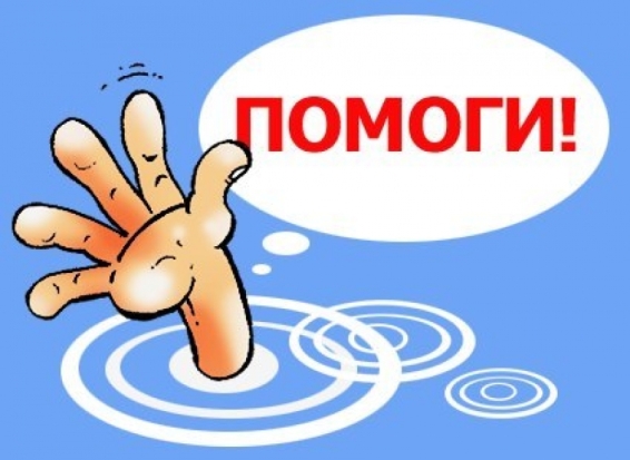 Сгорел дом великолукского ветеринара. Нужна помощь ему и его питомцам! - 2016-12-26 12:45:00 - 1
