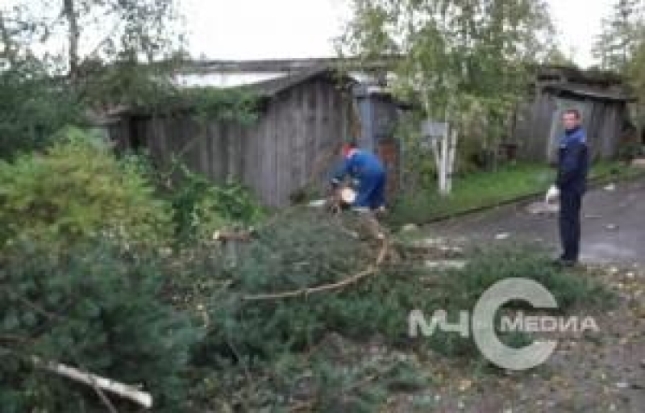 Ураган в Новгородской области повредил крыши 19 домов, детского сада, школы, почты и Дома творчества - 2017-09-19 08:32:00 - 1