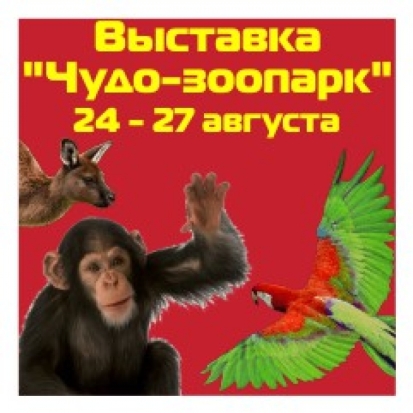 Великолучан приглашают посетить уникальную выставку «Чудо-зоопарк» - 2017-08-18 08:51:00 - 1