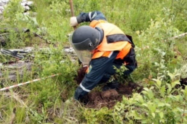 В Соловьях Псковского района разминирован взрывоопасный предмет времен ВОВ - 2016-10-12 06:13:00 - 1