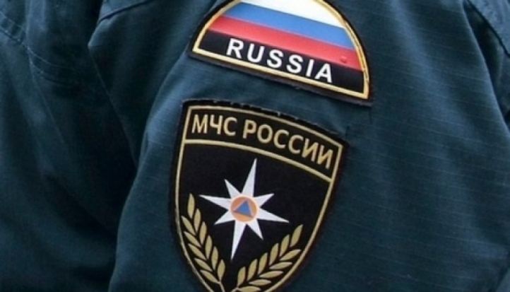 Псковские сотрудники МЧС помогли собаке - 2017-02-06 10:04:00 - 1