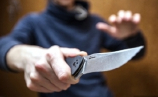 В Москве следователи разбираются в деле об ограблении и ранении русского мальчика, на которого напал аниматор отеля на острове Крит - 2016-11-28 16:21:00 - 1