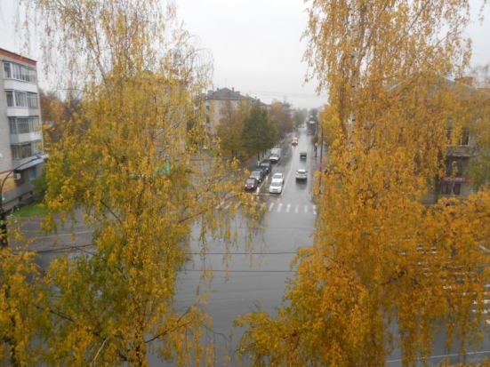 Завтра в Великих Луках днем ожидается до +3°С - 2016-10-29 22:02:00 - 1