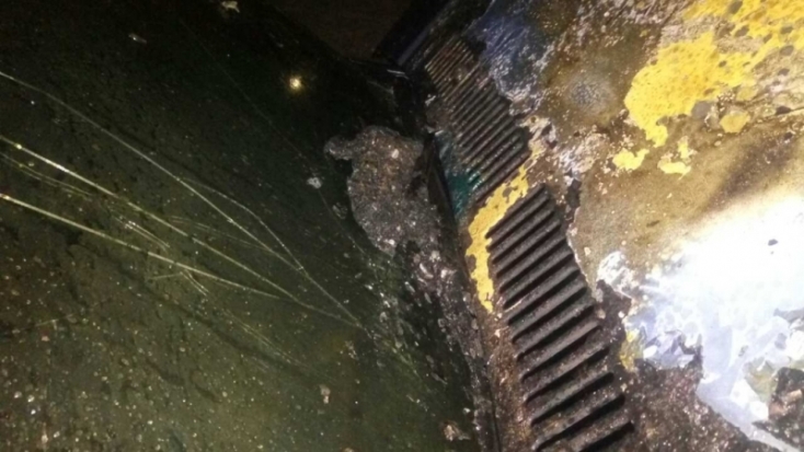 В Великих Луках подожгли автомобиль бизнесмена (ФОТО) - 2016-12-19 11:11:00 - 1