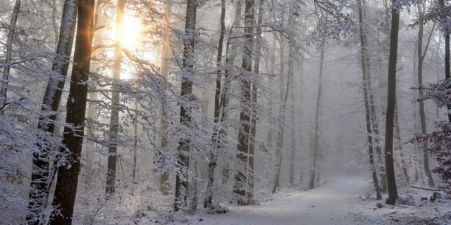 9 января - Степанов день - 2021-01-09 09:00:00 - 1