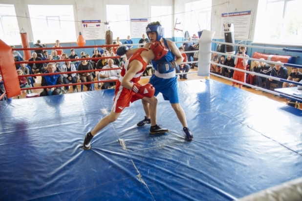 ФОТОрепортаж: открытое первенство города по боксу - 2018-05-07 09:56:00 - 1