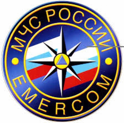 В Порховском районе спасатели нашли в лесу двух маленьких детей, потерявшихся во время сбора ягод - 2017-08-14 14:26:00 - 1