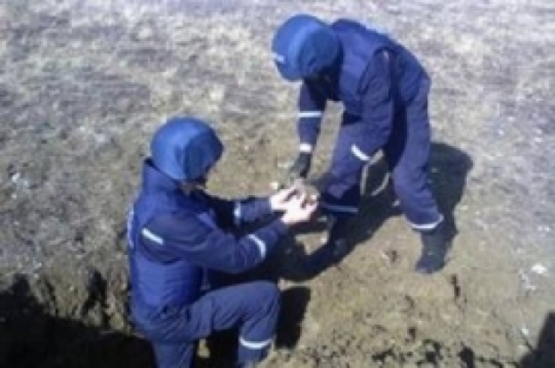 В Плюсском районе саперы разминировали две единицы ВОП - 2016-10-04 19:26:00 - 1