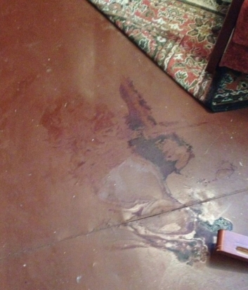 В Великих Луках заключена под стражу хозяйка квартиры, которая зарезала гостью - 2016-10-12 17:24:00 - 1