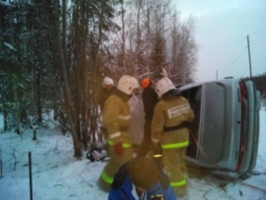 В деревне Уза Порховского района в ДТП попал легковой автомобиль - 2017-02-26 21:09:00 - 1