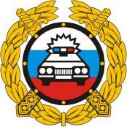 В Пскове и Островском районе выявлены нетрезвые водители - 2016-12-12 10:23:00 - 1