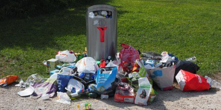 Великолукский лесотехнический колледж обязан убрать несанкционированную свалку - 2020-12-25 16:43:00 - 1