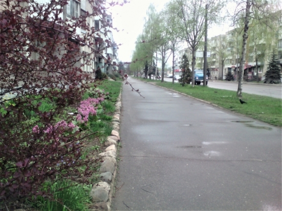 Завтра в Великих Луках ожидается до +17°С - 2017-05-26 22:02:00 - 1
