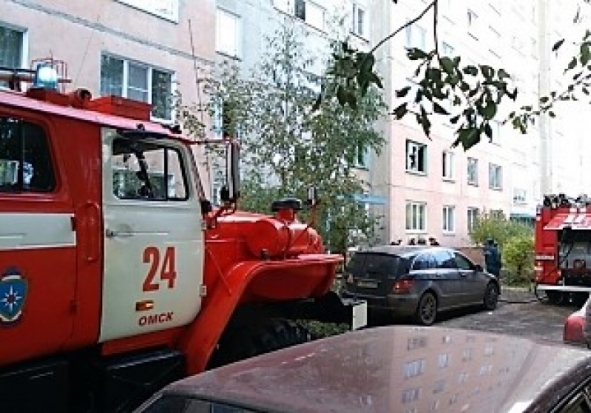 В Омске выпрыгнувшую из окна горящей квартиры девочку спас прохожий - 2017-10-07 21:06:00 - 1