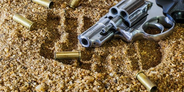 У жителей Псковской области изъято 45 единиц незаконно хранящегося оружия - 2021-01-02 16:00:00 - 1