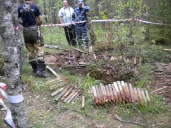 Великолукские саперы обезвредили 67 единиц ВОП в Невельском районе - 2016-09-27 19:01:00 - 1