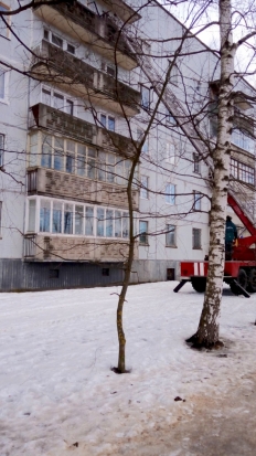 ФОТОфакт: А к вам в окно не стучался МЧСник? - 2017-02-15 15:14:00 - 1