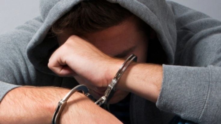 Трое несовершеннолетних напали с битами на работника фермы - 2016-12-16 16:45:00 - 1