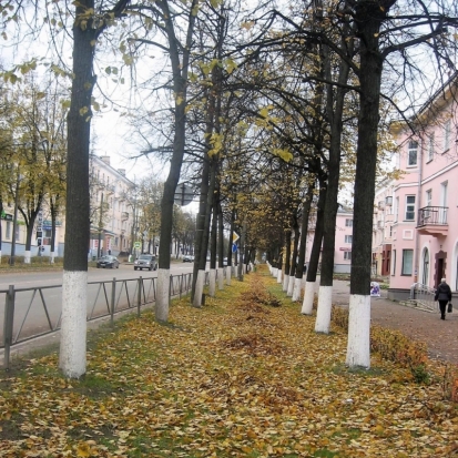 19 октября в Великих Луках ожидается до +10°С - 2017-10-18 22:02:00 - 1
