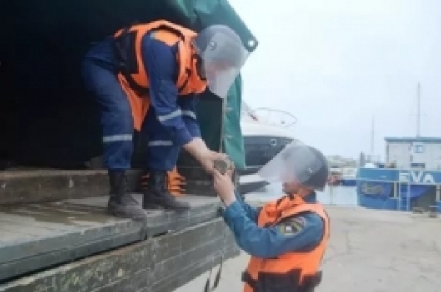Псковские саперы выезжали на разминирование в Островский район - 2017-05-07 19:06:00 - 1