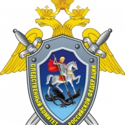 Сегодня в Великих Луках замруководителя следственного управления СК РФ по Псковской области проводит прием граждан - 2017-05-25 08:49:00 - 1