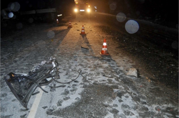 Проверяется версия о том, что попавшие в страшное ДТП в Псковской области 11 граждан Вьетнама ехали к границе, чтобы незаконно пересечь ее - 2016-12-18 21:04:00 - 1