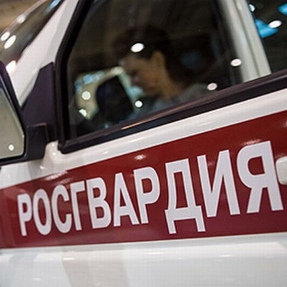 Отдел Росгвардии по Псковской области приглашает граждан на службу в подразделениях вневедомственной охраны - 2017-06-14 11:25:00 - 1