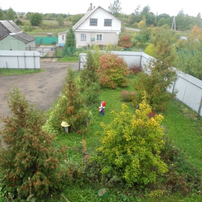 Завтра в Великих Луках днем ожидается до +12°С - 2016-09-24 22:02:00 - 1