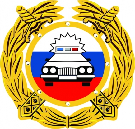 В Великих Луках пройдут массовые проверки ГИБДД - 2016-10-27 08:59:00 - 1