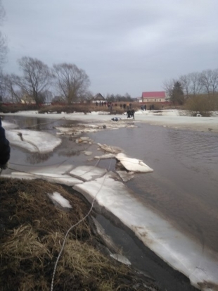 В воскресенье, 8 апреля, добровольцы будут искать утонувшую под Великими Луками девочку. Нужна помощь волонтеров! - 2018-04-06 18:57:00 - 1