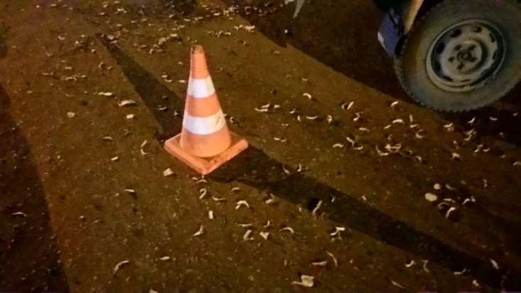 В Усвятском районе Псковской области обнаружен труп сбитого пешехода, обладателям информации о ДТП гарантируется вознаграждение - 2016-10-09 15:11:00 - 1