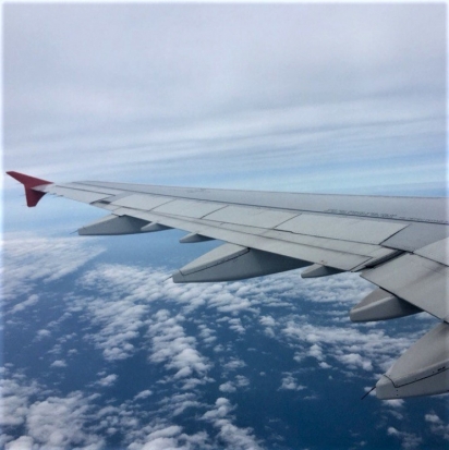 Потерявший сознание после вылета из «Домодедово» пилот умер - 2016-12-17 19:44:00 - 1