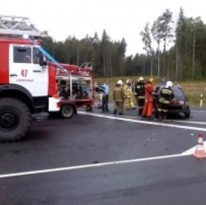 Два легковых автомобиля столкнулись на 2-м километре автодороги Пушкинские Горы – Носово - 2017-10-01 14:20:00 - 1