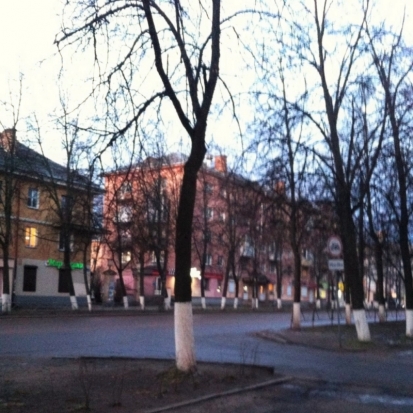 В воскресенье днем в Великих Луках температура воздуха не поднимется выше +6°С - 2017-04-08 21:37:00 - 1
