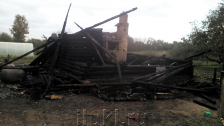 Члены семьи из Новоскольнического района, выжившие при пожаре, унесшем жизни троих малышей, просят помощи в соцсетях - 2016-10-24 22:14:00 - 1