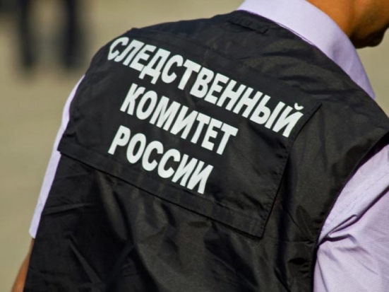 Следственный комитет рассказал об обстоятельствах трагедии в Псковском районе, где утонула двухлетняя девочка - 2017-04-21 16:21:00 - 1