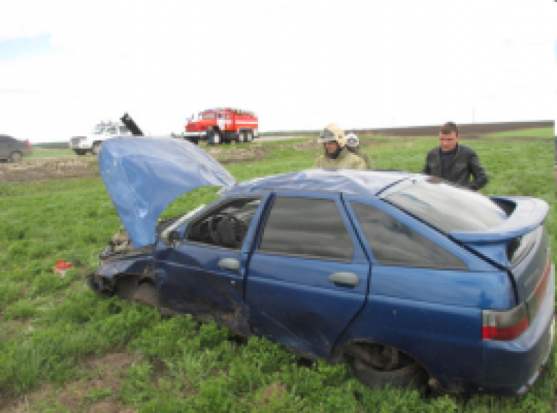 В Стругокрасненском районе легковушка попала в ДТП - 2017-05-27 08:18:00 - 1