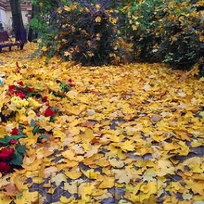 Завтра днем ожидается до +5°С - 2016-10-24 21:12:00 - 1