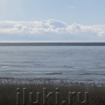 Ведутся поиски пропавшего рыбака в Новосокольническом районе - 2016-10-15 20:07:00 - 1