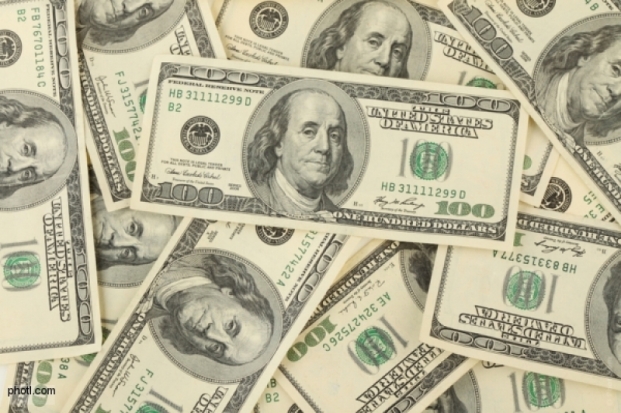 У супружеской пары из Великих Лук похитили 10 200 долларов США, которые они копили 10 лет и хранили в стояке в ванной комнате - 2016-09-27 20:28:00 - 1