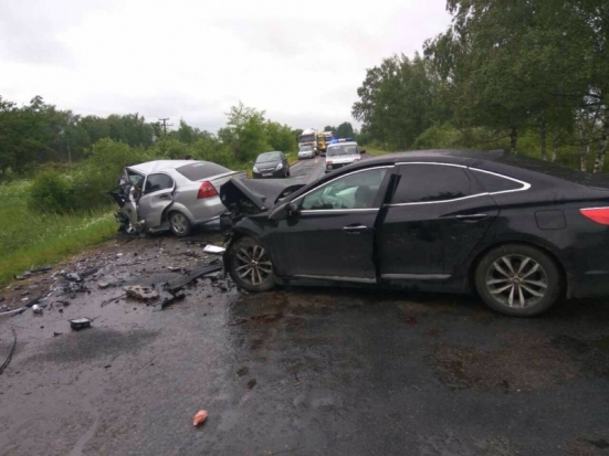 В лобовом столкновении на автодороге Невель – Шимск погиб автомобилист (фото) - 2017-06-29 18:07:00 - 1