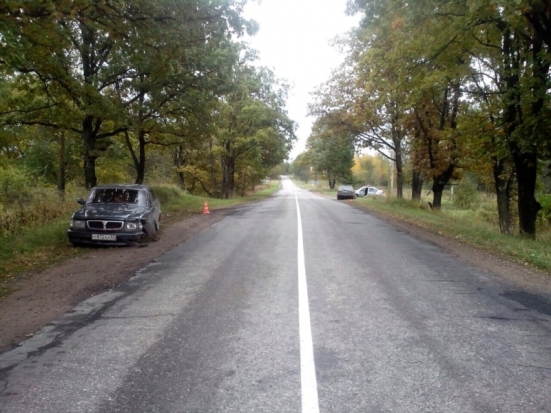 Водитель «Фольксвагена» заснул за рулем и столкнулся с «ГАЗ-3110» (+фото) - 2016-09-29 15:44:00 - 1