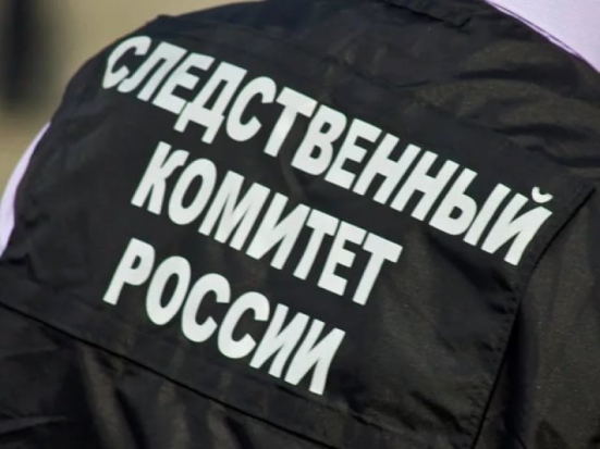 12 ударов ножом в спину нанесла мужчине псковичка, заступаясь за своего друга детства - 2017-05-11 13:39:00 - 1