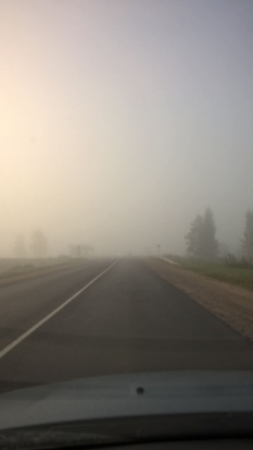 В ближайшие дни Псковскую область ожидают неблагоприятные метеорологические условия и загрязнение воздуха - 2018-05-06 22:34:00 - 1