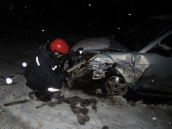 В Себежском районе сбили пешехода - 2017-01-03 08:20:00 - 1